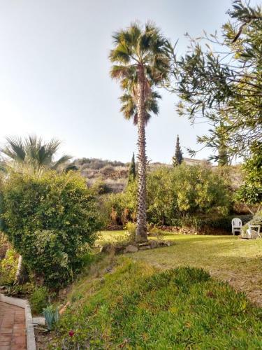Apartamento Ap346 - Torrox Beach Club