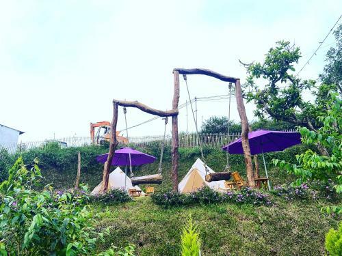 ?� L?t Sunshine Garden