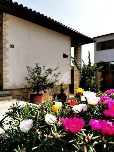 Hostal Rooms Silvana