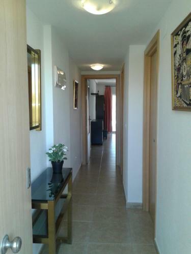 Apartamento En El Campello Alicante