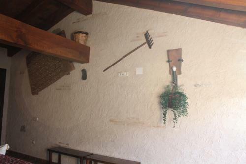 Agroturismo Cotanilla