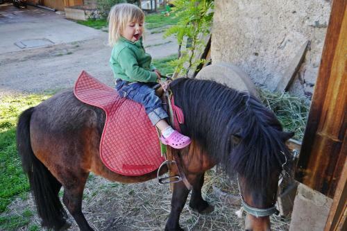 Agroturismo Wieserhof