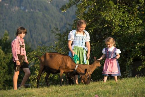 Agroturismo Dosserhof