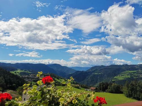 Agroturismo Gfliererhof