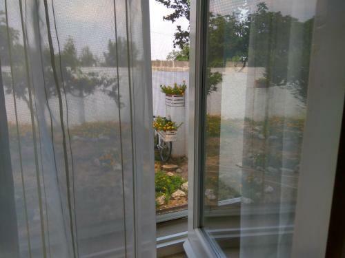 Bed & Breakfast Casa Dani