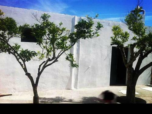 Bed & Breakfast Casa Dani