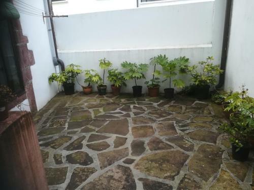 Apartamento Txarrenea