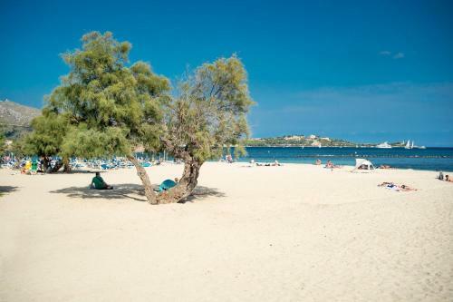 Villa Maria Sol By Villa Plus