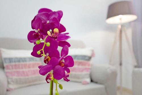 Apartamento Casita Amiga Del Mar