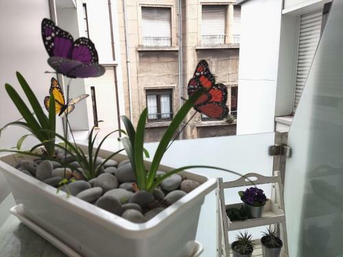 Apartamento Pelayo