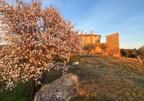 Bed & Breakfast Castillo De Corvinos