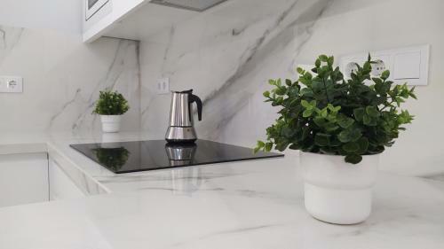 Apartamento Sherryflat Palmeras Plaza