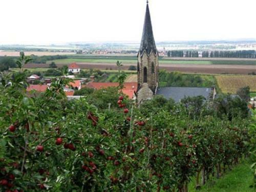 Hostal Motel Zur Festwiese