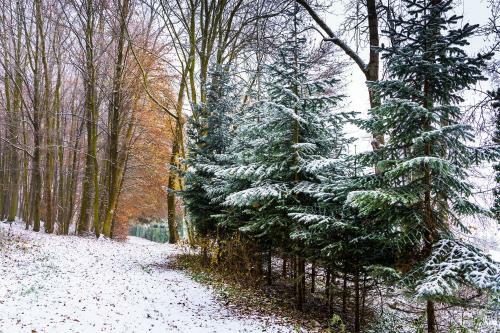 Hostal Motel Zur Festwiese