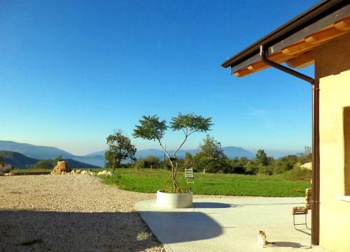 B&B Asinochevola
