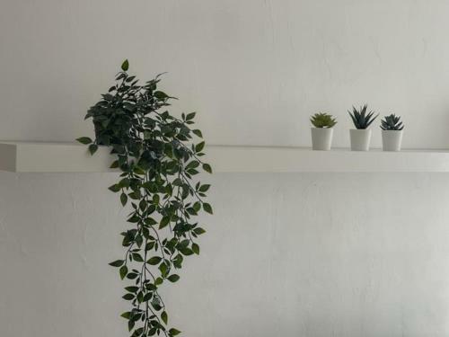 Apartamento Housingcoru�a San Nicolas 2