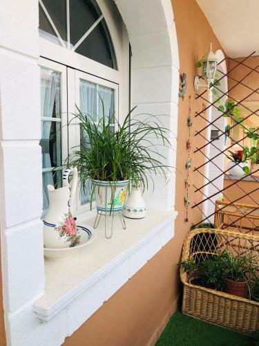 Apartamento Casa La Monta�a