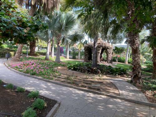 Apartamento Castrillo13