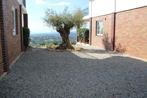 Villa "oliva"