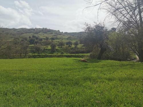 Apartamento �tico Duplex Los Atardeceres De Monachil