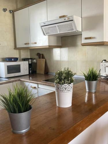 Encantador Apartamento Domanska