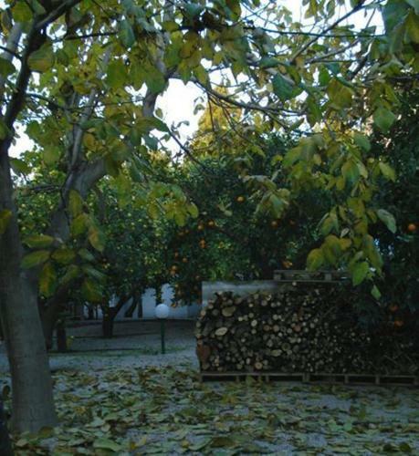 Apartamento Green Village