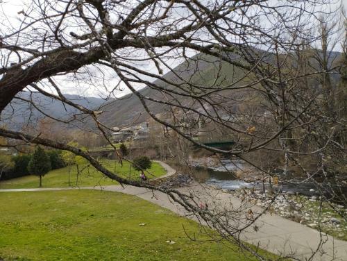 Camping La Zarapica - Palacios Del Sil