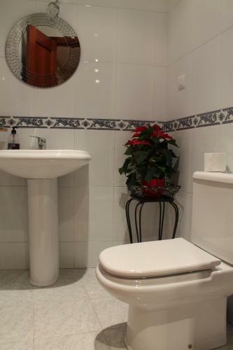 Apartamento Duplex Murgadan