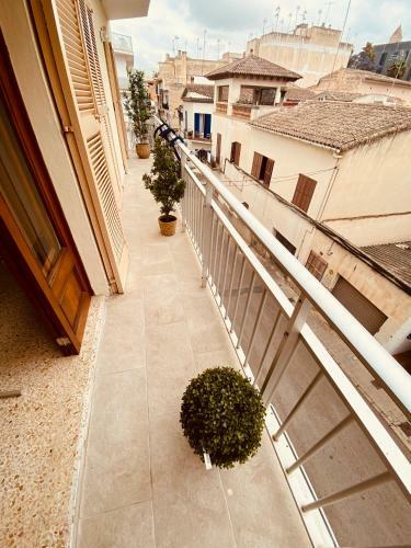 Apartamento Appartement de Majorque Portocristo