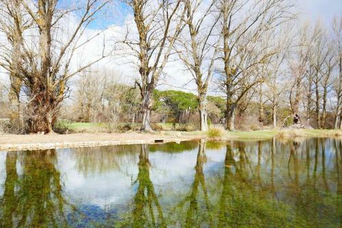 Agroturismo El Perfume Del Almendro