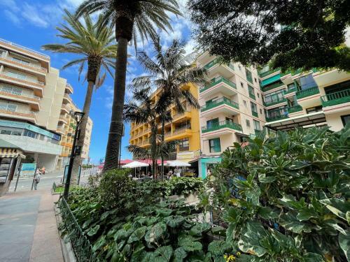 Apartamento Central Plaza