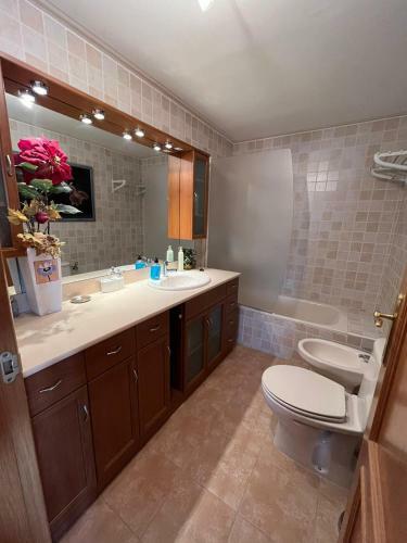 Apartamento �tico Pirineo Aragon�s