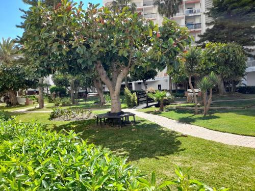 Apartamento De 4 A 6 Pers Salobre�a