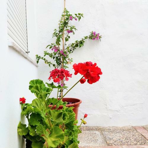 Agroturismo Casa Rural Maribel