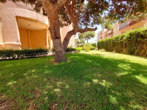 Apartamento Sunflower Isla