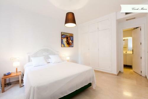 Apartamento Conde De Ibarra