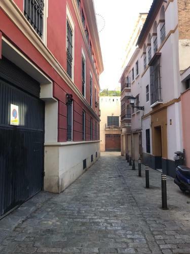 Apartamento Conde De Ibarra