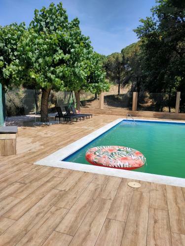 Maravillosa Casa Con Piscina Grande Y Bosque