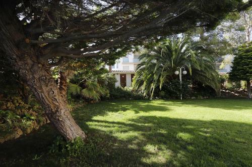 Apartamento At501 Reina Fabiola