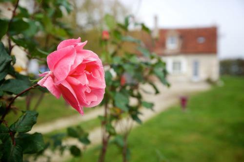 Domaine De Matounet