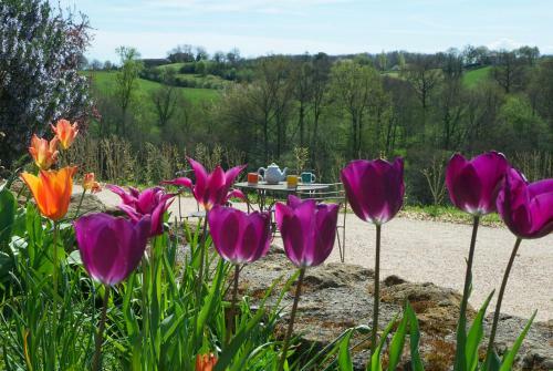 Bed & Breakfast La Maison De Bazugues