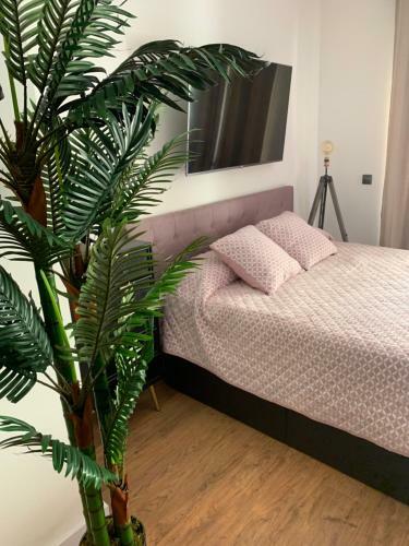 Apartamento Loft de Lujo Con Piscina La Envia