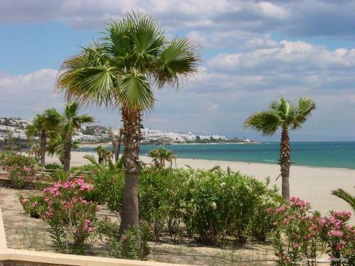 Apartamento Al Andalus Thalassa