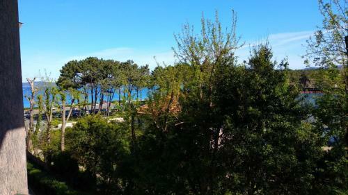 Apartamento En Samil