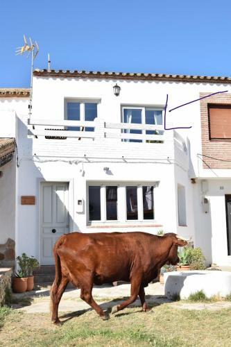 Apartamento Casa Lola 2