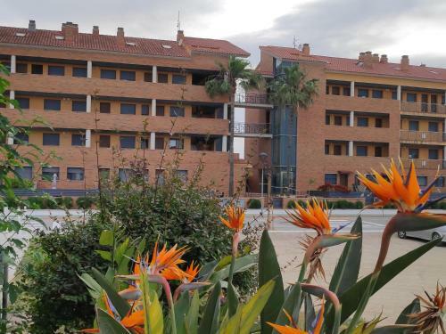 Apartamento En Deltebre Lo Delta