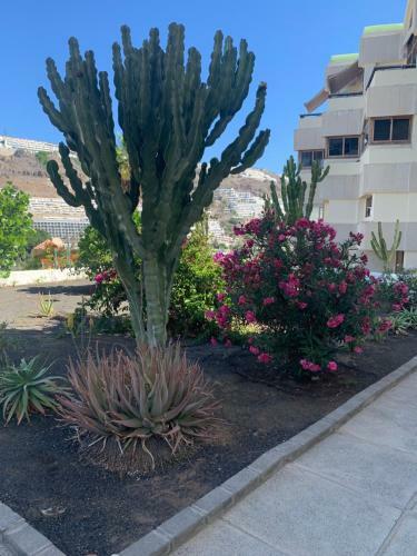 Apartamento La Cascada Beach 6