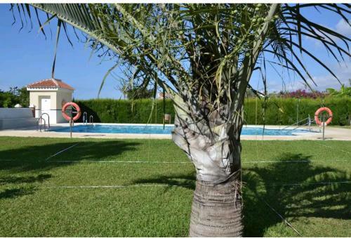 Apartamento Playa Para�so Elena