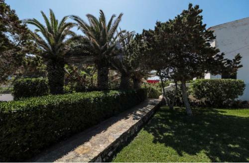 Apartamento Menorca Calan Forcat 25m2