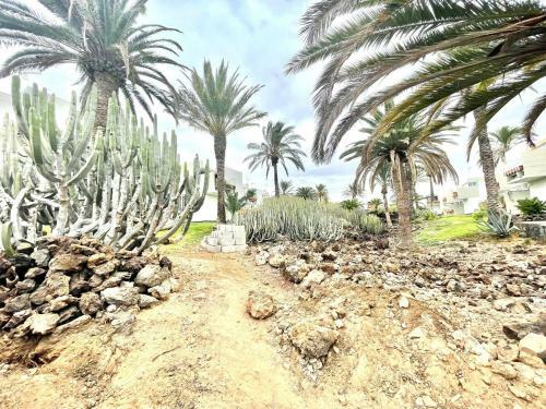 Apartamento Estudio Loft - Brisa Del Teide